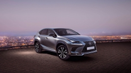 LEXUS NX 26