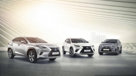 LEXUS NX 11