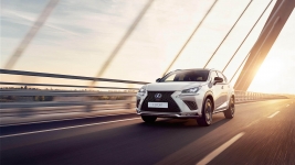 LEXUS NX 16