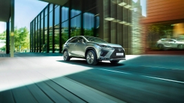 LEXUS NX 33