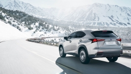 LEXUS NX 20