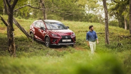 LEXUS NX 8