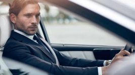 LEXUS LS 31